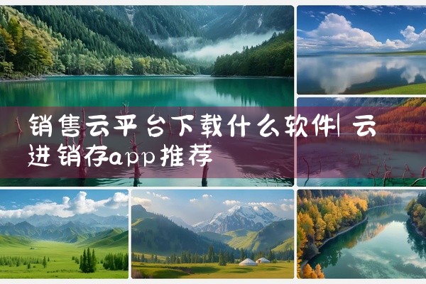 销售云平台下载什么软件