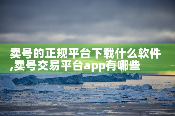 卖号的正规平台下载什么软件