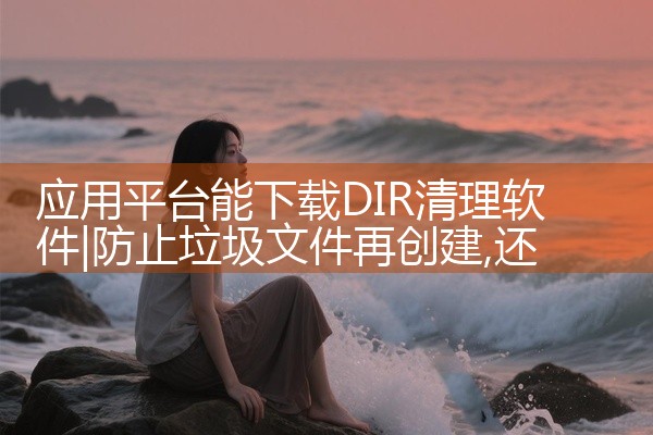 应用平台能下载DIR清理软件