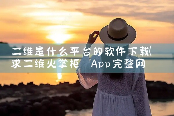 二维是什么平台的软件下载