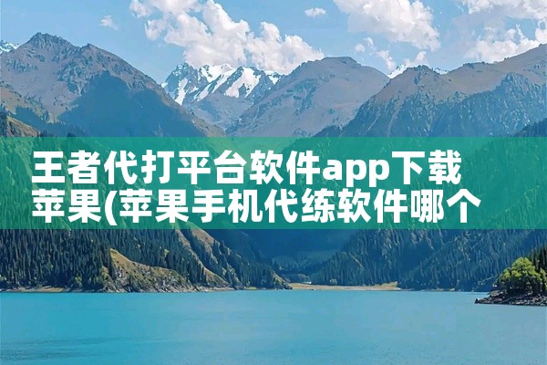 王者代打平台软件app下载苹果